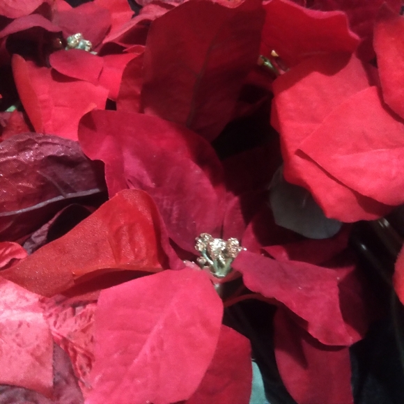 3 bundles of red faux Floral assortment plus ➕ more poinsettias! - Picture 6 of 6